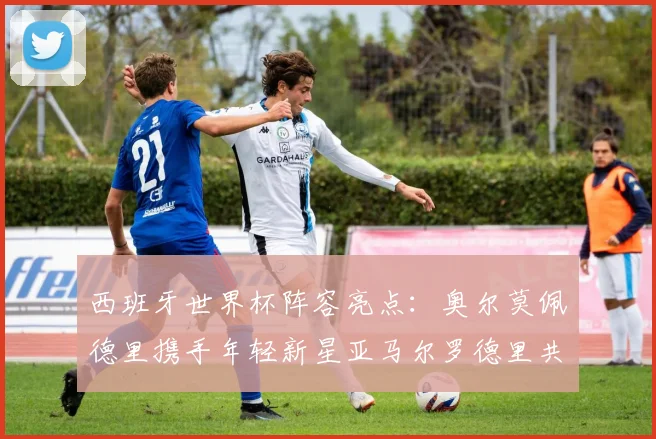 西班牙世界杯阵容亮点：奥尔莫佩德里携手年轻新星亚马尔罗德里共赴荣耀之战